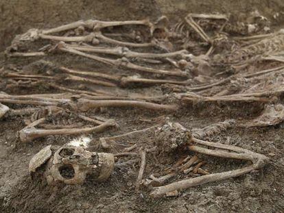 Cadáveres de la fosa común del cementerio de San Rafael de Málaga. En la foto, un cuerpo maniatado con alambre.