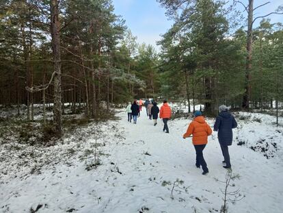 Un grupo de periodistas rústicos camina por un bosque cercano a Riga, el 21 de enero.
