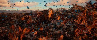 Martin Freeman, en un fotograma de 'El hobbit: la desolación de Smaug'