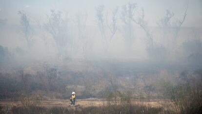 Un bombero camina entre el humo de los incendios provocados en los humedales del delta del río Paraná, este jueves.
