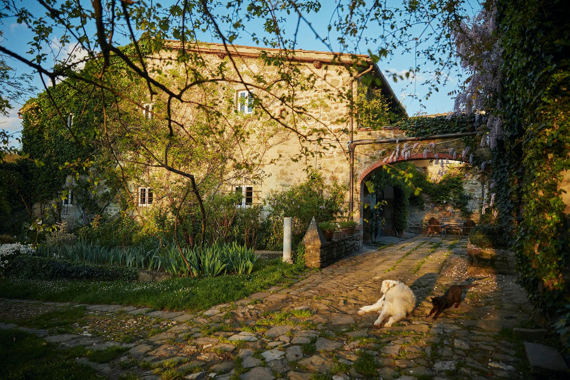 Imagen de la fachada de la casa. Delante, el perro Pushkin y la gata Lady Gaga. 