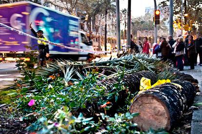 Dos heridas leves al caer una palmera en la Diagonal de Barcelona.
