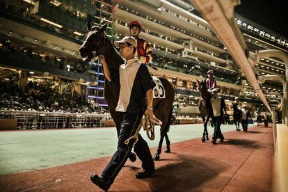 Aunque no apostemos, asistir a una trepidante tarde de miércoles en este hipódromo urbano es una de las experiencias más intensas y auténticas de Hong Kong: las carreras de caballos son el deporte-espectáculo más popular de la ciudad. De septiembre a junio, el hipódromo bulle semanalmente con ocho carreras y un festival de comida y bebida. Una posibilidad interesante es apuntarse al Come Horse-racing Tour que se celebra durante las carreras. Dura cinco horas y media en las sesiones nocturnas y siete durante las carreras diurnas e incluye la recogida del viajero, la entrada al Jockey Club, un bufé y un circuito guiado por la zona de desfile y la meta (hkjc.com).