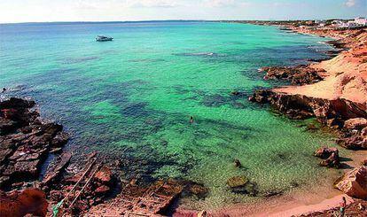 Aguas cristalinas gracias a las algas posidonias en Formentera. 