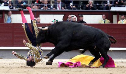 El torero David Mora es corneado por el toro que abre plaza en las Ventas.
