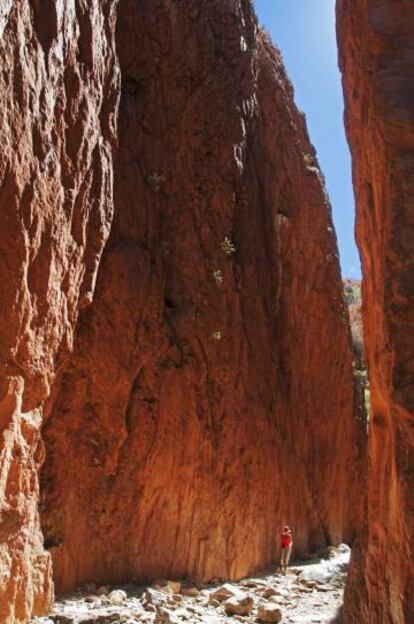 Desfiladero de Standley Chasm, en la australiana cordillera MacDonnell.