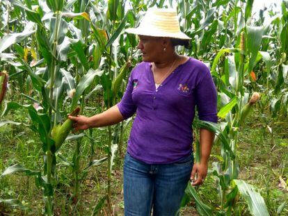 Las migrantes climáticas de Honduras