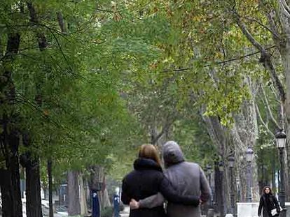 Los árboles del paseo del Prado mantienen todavía las hojas, que siguen estando de color verde.