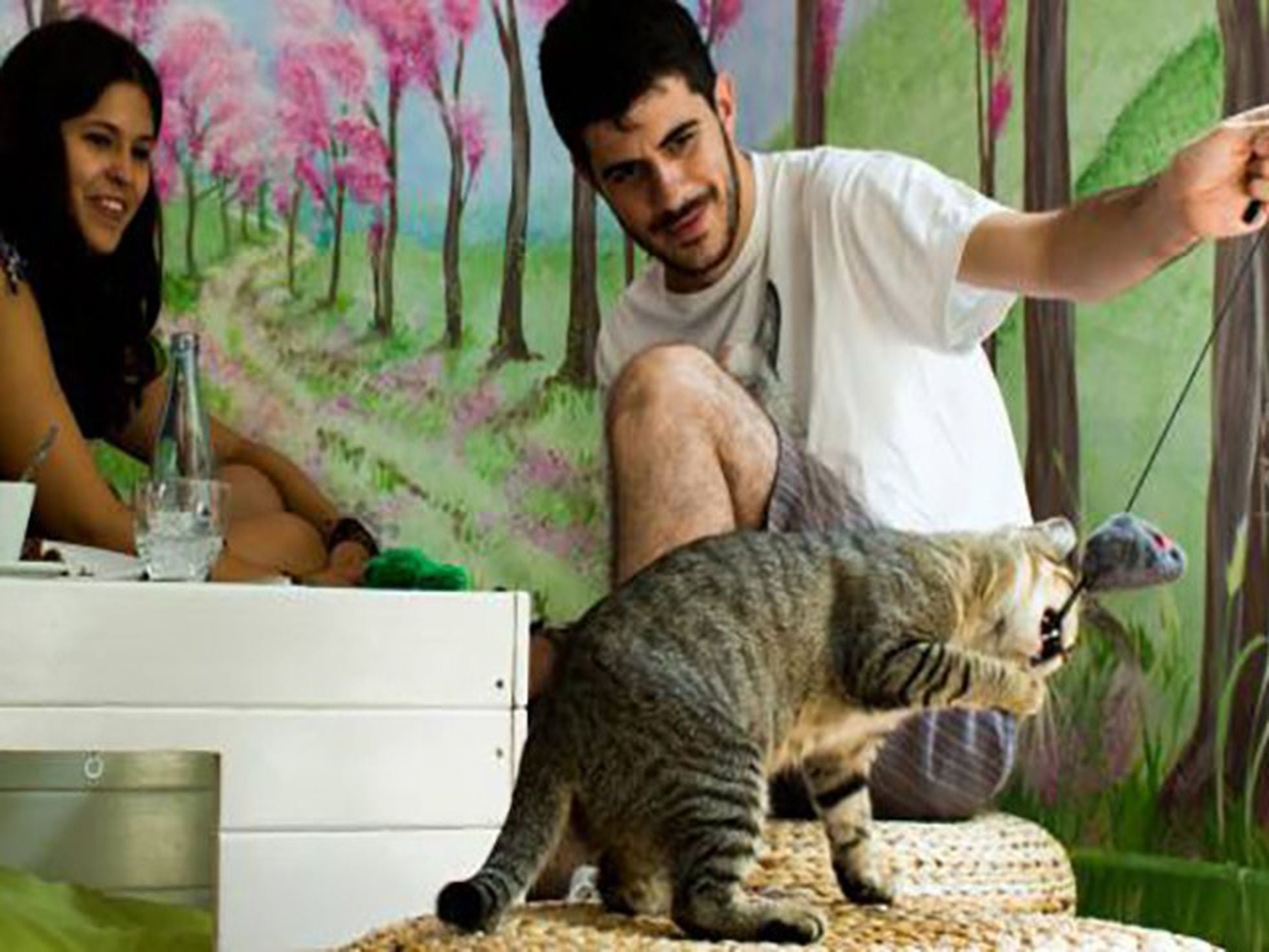 agujas del reloj Arreglo A la verdad Tomar un café en compañía de gatos | Cataluña | EL PAÍS
