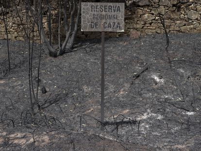 Un letrero de la Reserva Regional de Caza en el monte abrasado de La Culebra.