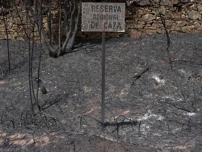 Un letrero de la Reserva Regional de Caza en el monte abrasado de La Culebra.