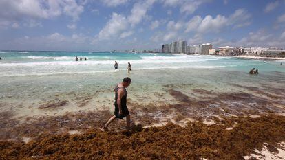 Un turista camina por una playa de Cancún cubierta de sargazo, el 5 de abril de 2022.