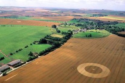 "Crop circle" en Avebury (Wiltshire, Reino Unido).