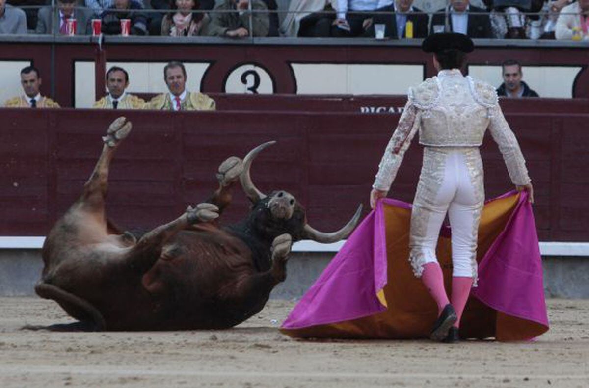 El palco presidencial pretende poner patas arriba la fiesta de los toros | El toro, por los cuernos | Cultura