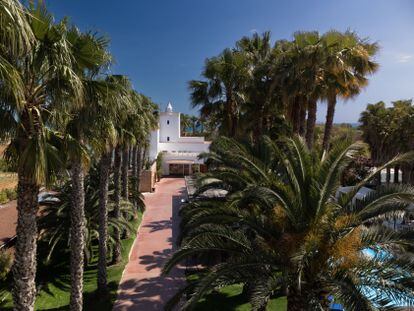 El restaurant Citrus està al Tancat de Codorniu, a Les cases d'Alcanar.