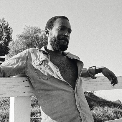 Marvin Gaye fotografiado por Bruce W. Talamon.
