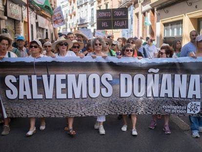 Pancarta en la manifestación este domingo en Sevilla convocada por la plataforma Salvemos Doñana.