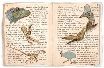 Cuaderno con anotaciones y dibujos realizados por González Sitges durante su última expedición a Australia.