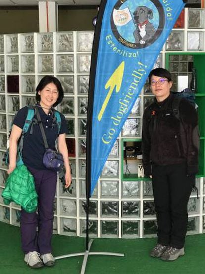 Kimiko Uchii y Tamano Hayashi, en la sede de la Asociación Protectora de Animales del Camino en Santiago.