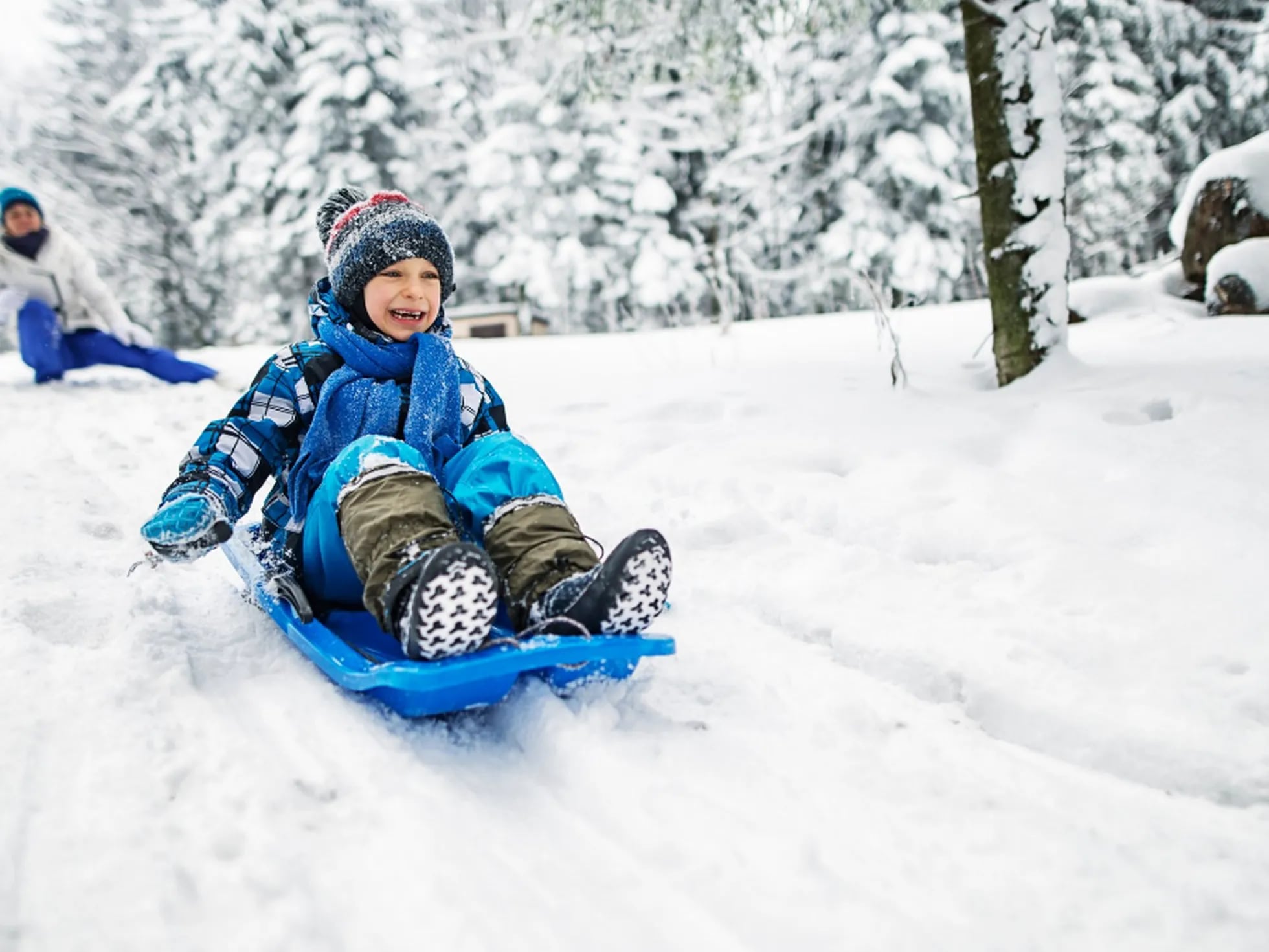 Hermosos niños en trineo en la nieve.