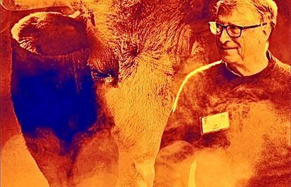 Bill Gates y las vacas. Ciencia contra la España del chuletón