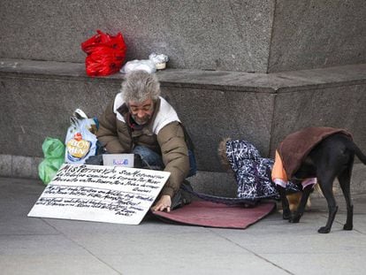 Una persona sin hogar con dos perros, en una calle de Madrid.