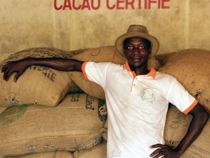 Producción de cacao en Petit Bonduku, en el área de Subré (Costa de Marfil).