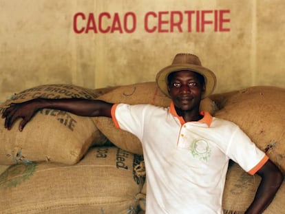 Producción de cacao en Petit Bonduku, en el área de Subré (Costa de Marfil).