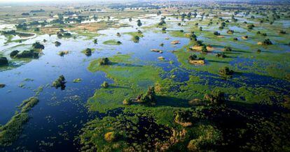 Lonely Planet considera que el Estado africano de Botsuana es el mejor destino para el próximo año debido a las mágnificas reservas del Delta del Okavango (en la imagen), la Isla Sedudu, la Reserva natural Mokolodi o los Parques Nacionales de Chobe y Nxai Pan.
