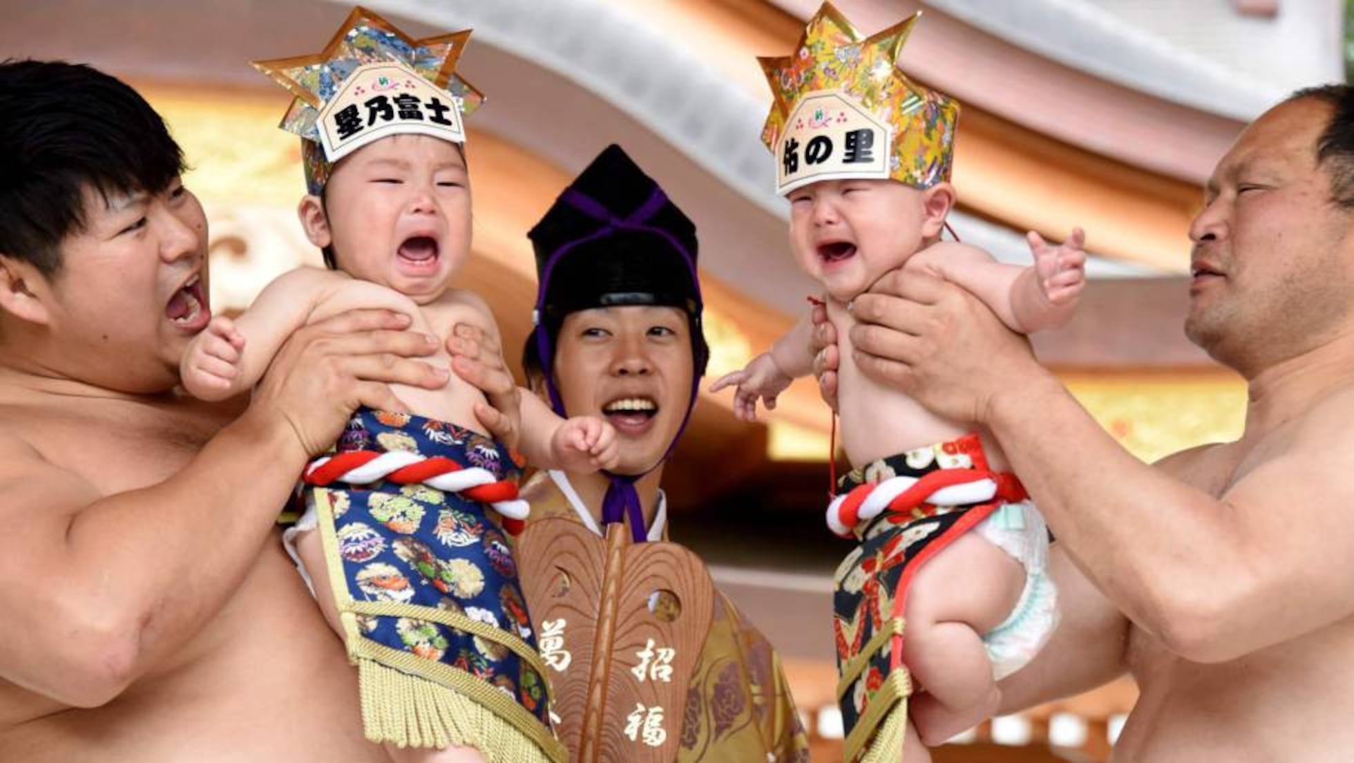 La Lucha Sagrada Entre Bebes Sumo Que Hace Las Delicias De Los Padres Japoneses Mundo Global El Pais