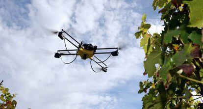 Imagen de un dron volando en Pessac, Francia.