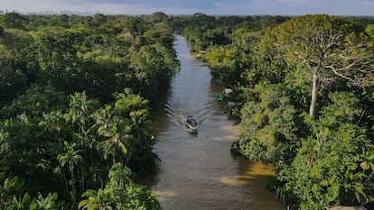 Fotografía aérea de un bote navegando por un río en una zona de la selva Amazónica, el 6 de agosto de 2023, en el Estado de Pará (Brasil).