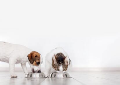 A partir de cierta edad, perros y gatos necesitan una alimentación adaptada a su ritmo de vida y tamaño. La gama Advance Senior contiene los nutrientes necesarios.