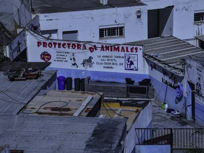Protectora de animales de Ceuta donde se llevó al perro con rabia.