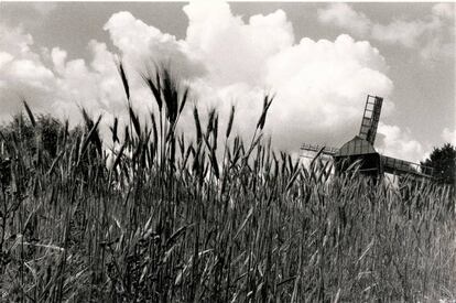 Campos de cereal en Ucrania en julio de 1991.