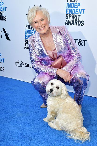 Glenn Close (72 años)
Sigue sin su Oscar más que merecido a pesar de la maravilla de interpretación que nos acaba de entregar con La buena esposa, pero por lo menos puede consolarse con su perro Pip, auténtica estrella de su cuenta.