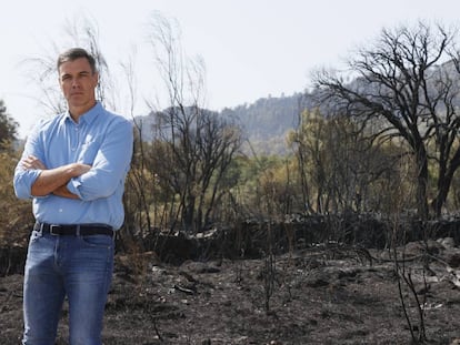 Pedro Sánchez durante la visita  a zonas quemadas de Extremadura
 