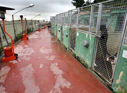Aspecto de las jaulas de la perrera de Barcelona con estufas de butano para aliviar a los animales del frío.