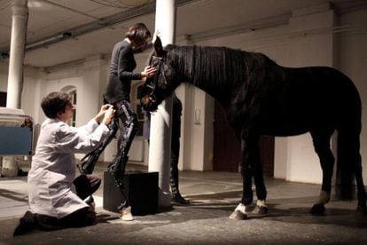 La obra 'May the Horse Live in Me de Art Orienté Objet'.