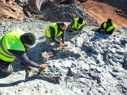El equipo de paleontólogos con los restos del dinosaurio emparentado con el 'Iguanodon' de hace 126 millones de años, en el yacimiento de Mas Palau en Morella. .