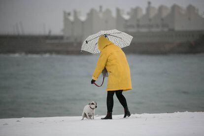 Una mujer pasea con su perro por la playa de Nova Icaria de Barcelona durante la nevada.