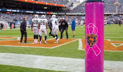 Un lazo rosa, símbolo de la lucha contra el cáncer de mama, en el estadio de los Chicago Bears, con motivo del mes de prevención de este tumor que se conmemora en EE UU.