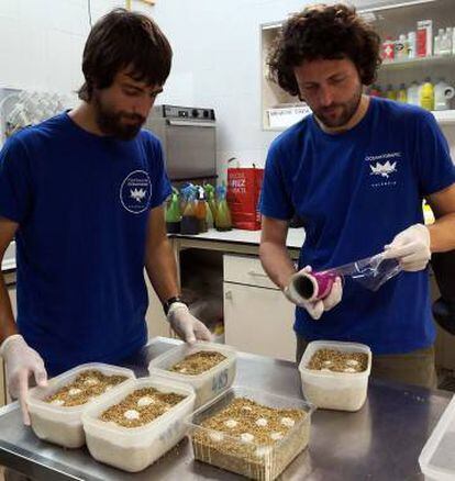 Investigadores del Oceanogràfic con cajas con huevos de tortuga.