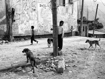 Un niño juega con los perros en la comunidad de San Miguel, en la parte alta de la montaña de Guerrero.