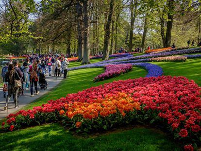 Visitantes en el jardín botánico de Keukenhof, Países Bajos.
