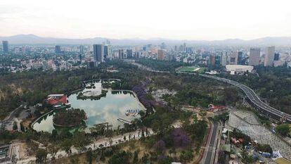 Vista aérea de una delas secciones del bosque que serán intervenidas