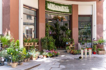 Exterior de la tienda Plantas luego existes, en el madrileño barrio de El Rastro.