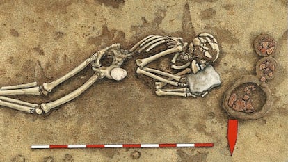 Los neolíticos de la cultura de la cerámica de bandas se asentaron en zonas ricas en suelos fértiles para cultivar hace más de 7.000 años. En la imagen, los restos de un miembro de estos pueblos encontrado en Derenburg, norte de Alemania.