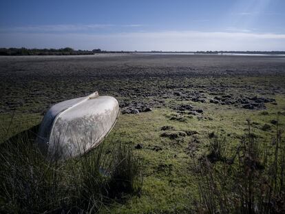 Estado de la laguna de Santa Olalla, en el Parque Nacional de Doñana, en noviembre.