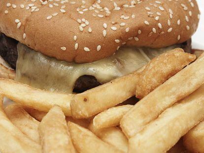 La comida basura modifica el cerebro y aumenta el apetito